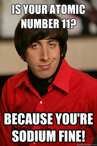 Is your atomic number 11? Because you're sodium fine!  Howard Wolowitz