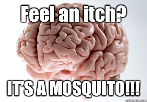 Feel an itch? IT'S A MOSQUITO!!!   Scumbag Brain