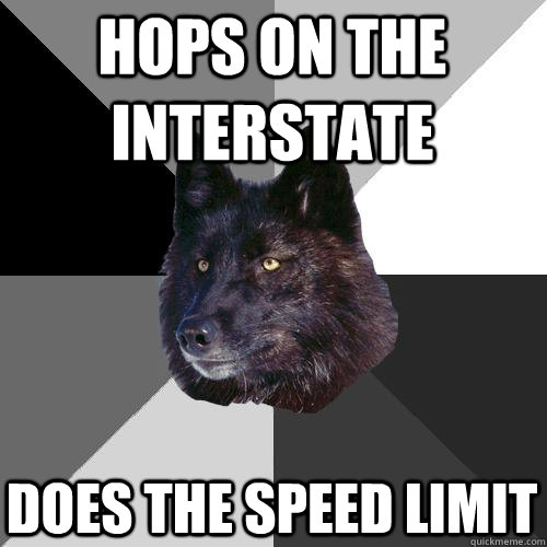 Hops on the interstate does the speed limit  Sanity Wolf