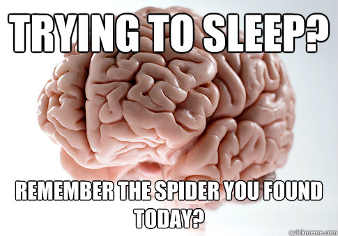 Trying to sleep? Remember the spider you found today?  Scumbag Brain