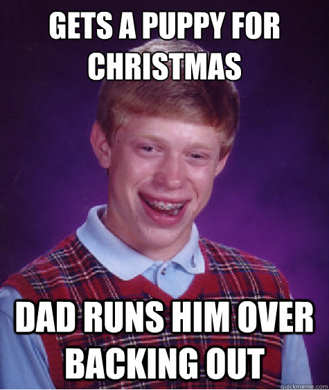 gets a puppy for christmas dad runs him over backing out  Bad Luck Brian