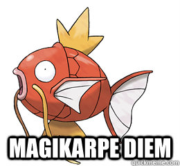  Magikarpe Diem  Tormented Magikarp