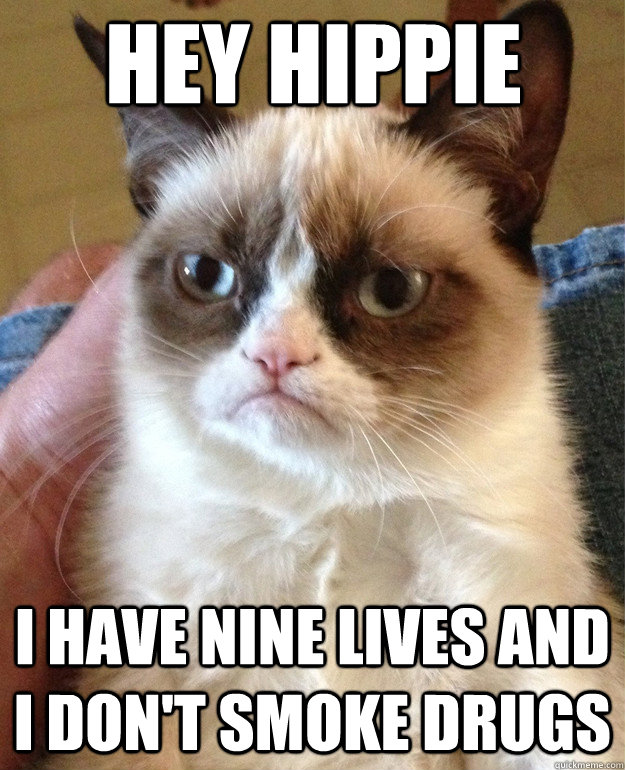 Hey hippie I have nine lives and I don't smoke drugs  Grumpy Cat