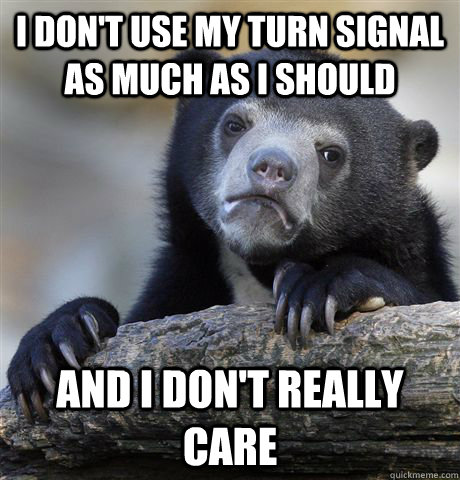 i don't use my turn signal as much as i should and i don't really care  Confession Bear