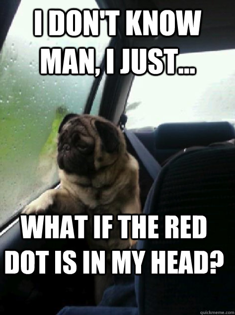 I don't know man, I just... what if the red dot is in my head?  Introspective Pug