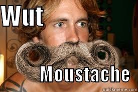 WUT                                               MOUSTACHE  Misc