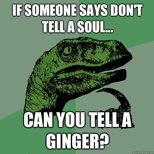 If someone says don't tell a soul... Can you tell a ginger?  Philosoraptor