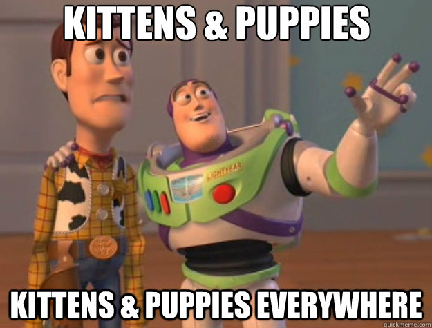 Kittens & puppies Kittens & puppies everywhere - Kittens & puppies Kittens & puppies everywhere  Toy Story