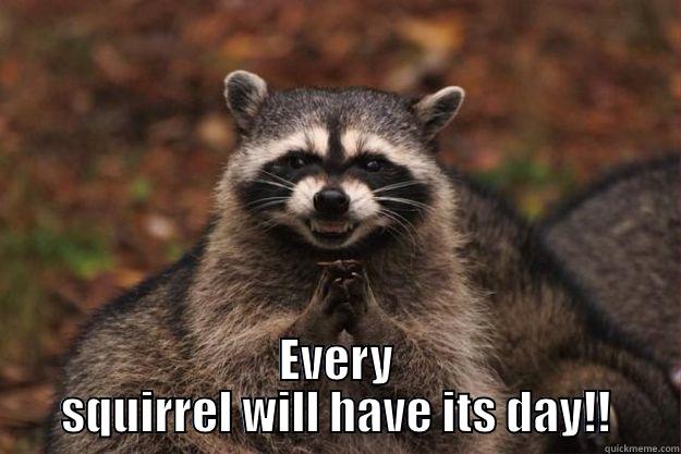  EVERY SQUIRREL WILL HAVE ITS DAY!! Evil Plotting Raccoon