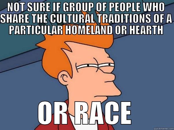 NOT SURE IF GROUP OF PEOPLE WHO SHARE THE CULTURAL TRADITIONS OF A PARTICULAR HOMELAND OR HEARTH OR RACE Futurama Fry