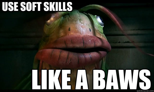 Use Soft SKills LIKE A BAWS - Use Soft SKills LIKE A BAWS  BAWS FISH