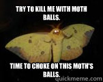 Try to kill me with moth balls. Time to choke on this moth's balls. - Try to kill me with moth balls. Time to choke on this moth's balls.  Murderous Moth Marty