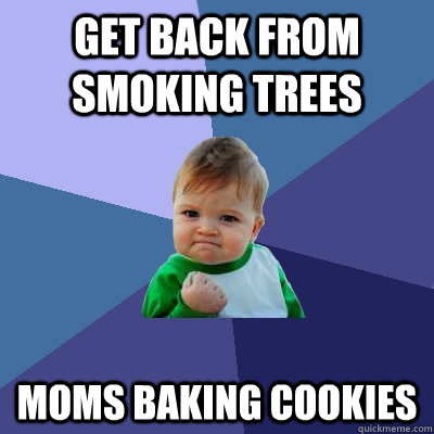 Get back from smoking trees moms baking cookies  Success Kid