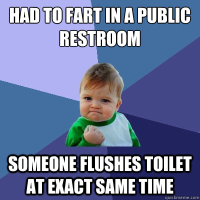 had to fart in a public restroom someone flushes toilet at exact same time  Success Kid