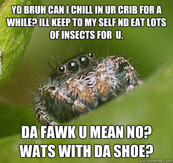 yo bruh can i chill in ur crib for a while? ILL KEEP TO MY SELF ND EAT LOTS OF INSECTS FOR  U. DA FAWK U MEAN NO? WATS WITH DA SHOE?  Misunderstood Spider