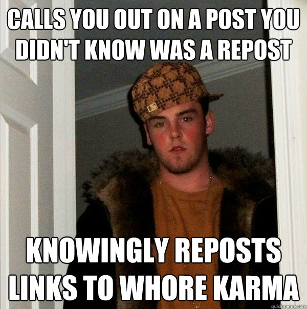 calls you out on a post you didn't know was a repost knowingly reposts links to whore karma - calls you out on a post you didn't know was a repost knowingly reposts links to whore karma  Scumbag Steve