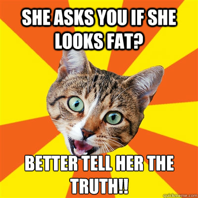 she asks you if she looks fat? Better tell her the truth!!  Bad Advice Cat