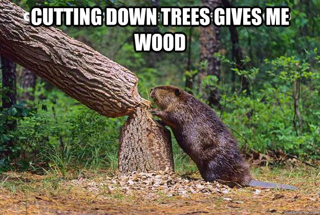 cutting down trees gives me wood  - cutting down trees gives me wood   beaver cutting trees
