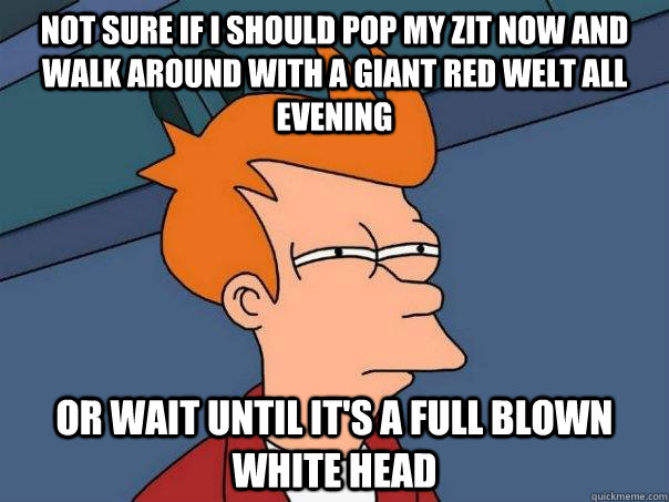 Not sure if I should pop my zit now and walk around with a giant red welt all evening Or wait until it's a full blown white head  Futurama Fry