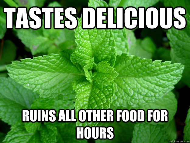 Tastes Delicious Ruins all other food for hours  Scumbag Mint