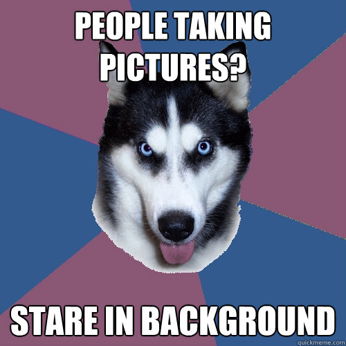 People taking pictures? Stare in background - People taking pictures? Stare in background  Creeper Canine