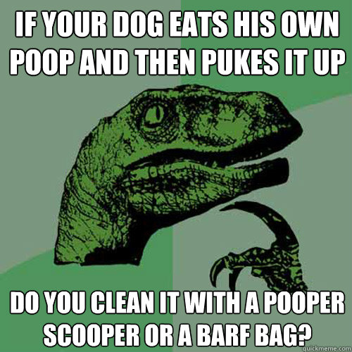 If your dog eats his own poop and then pukes it up do you clean it with a pooper scooper or a barf bag?  Philosoraptor