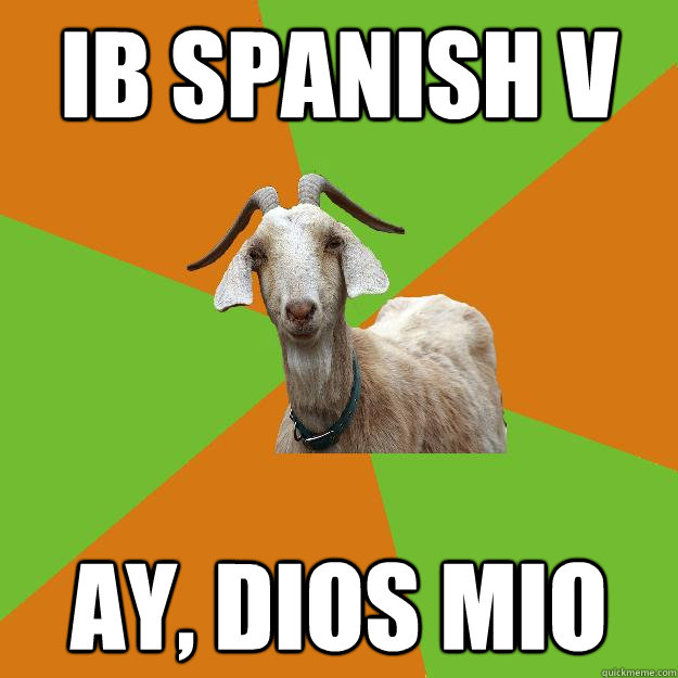 IB SPANISH V AY, DIOS MIO  IB Goat