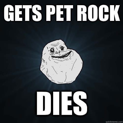 Gets pet rock Dies  Forever Alone