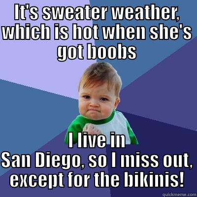 IT'S SWEATER WEATHER, WHICH IS HOT WHEN SHE'S GOT BOOBS I LIVE IN SAN DIEGO, SO I MISS OUT, EXCEPT FOR THE BIKINIS! Success Kid