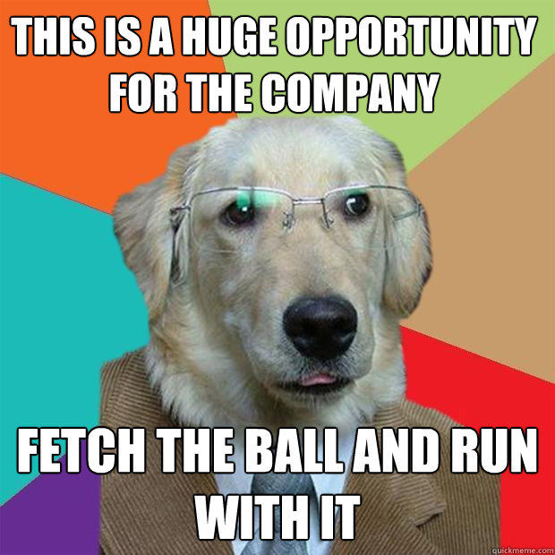 This is a huge opportunity for the company fetch the ball and run with it  Business Dog