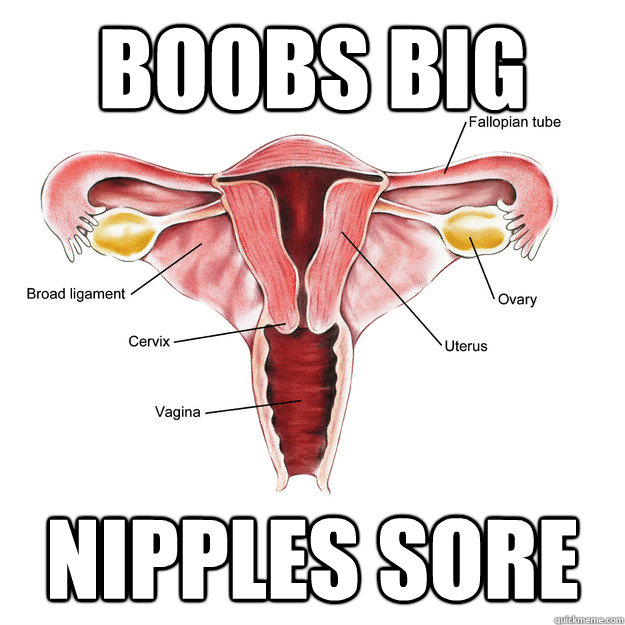 Boobs big Nipples sore  Scumbag Uterus