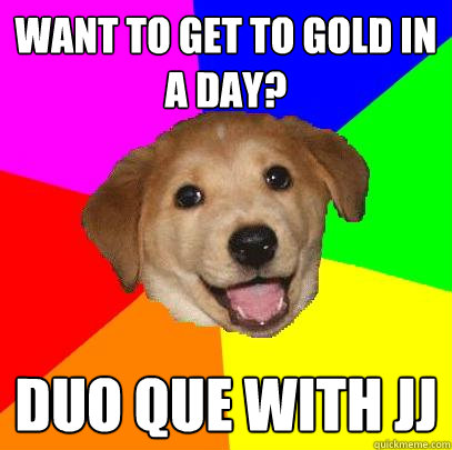 Want to get to gold in a day? Duo Que with JJ  Advice Dog