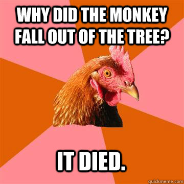 WHY DID THE MONKEY FALL OUT OF THE TREE? IT DIED.  Anti-Joke Chicken