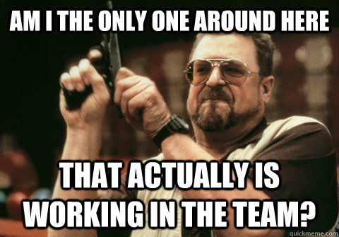 Am I the only one around here that actually is working in the team? - Am I the only one around here that actually is working in the team?  Am I the only one