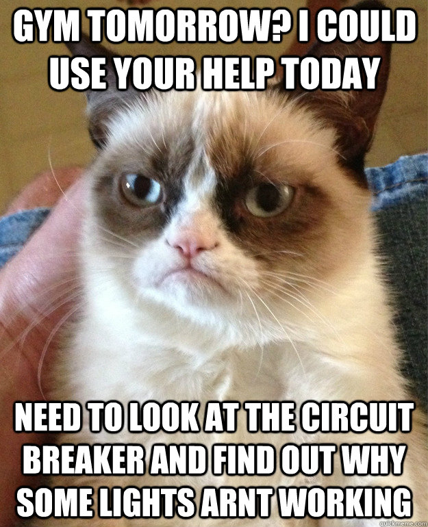 Gym Tomorrow? i could use your help today need to look at the circuit breaker and find out why some lights arnt working  Grumpy Cat