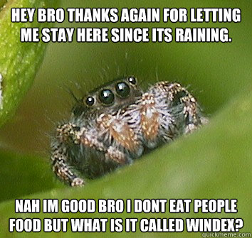 Hey bro thanks again for letting me stay here since its raining. nah im good bro i dont eat people food but what is it called Windex?  Misunderstood Spider