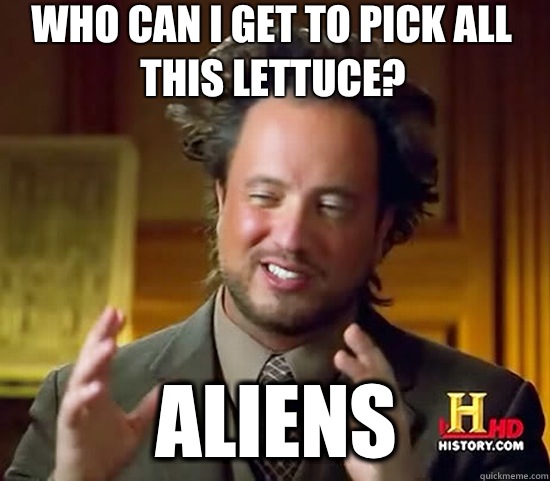 Who can I get to pick all this lettuce? Aliens  Ancient Aliens