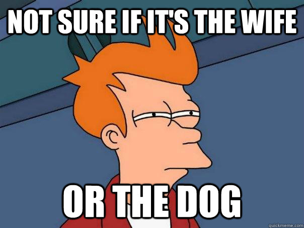 Not sure if it's the wife or the dog  Futurama Fry