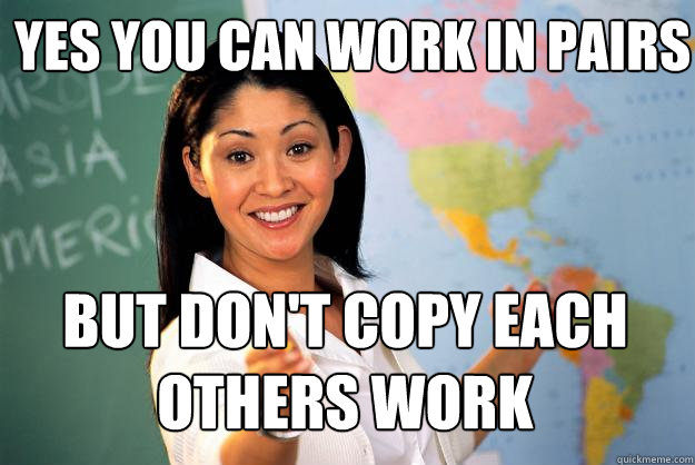 yes you can work in pairs but don't copy each others work  - yes you can work in pairs but don't copy each others work   Unhelpful High School Teacher