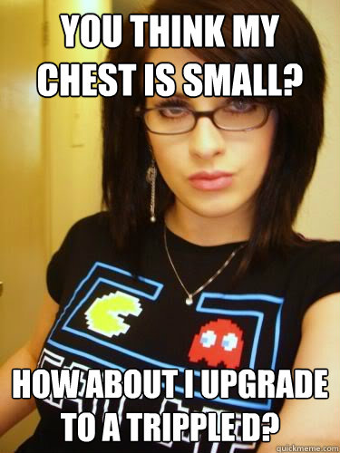 You think my chest is small? how about i upgrade to a tripple d?  Cool Chick Carol