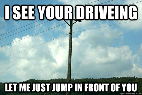 i see your driveing let me just jump in front of you - i see your driveing let me just jump in front of you  douchebag telephone pole