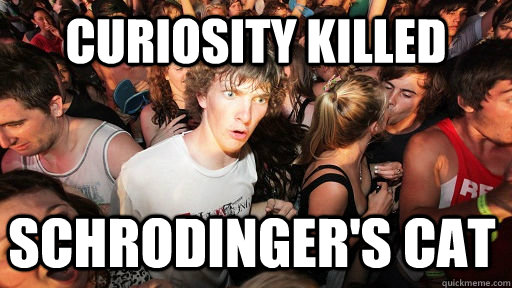 Curiosity killed  Schrodinger's cat - Curiosity killed  Schrodinger's cat  Sudden Clarity Clarence