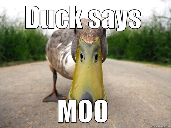 Confused Duck - DUCK SAYS MOO Misc