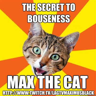 The secret to bouseness Max the cat http://www.twitch.tv/lagtvmaximusblack - The secret to bouseness Max the cat http://www.twitch.tv/lagtvmaximusblack  Bad Advice Cat