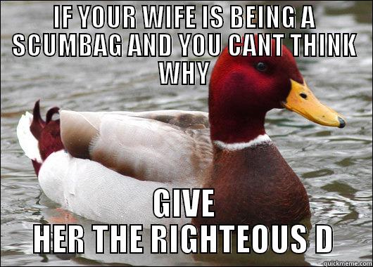 IF YOUR WIFE IS BEING A SCUMBAG AND YOU CANT THINK WHY GIVE HER THE RIGHTEOUS D Malicious Advice Mallard