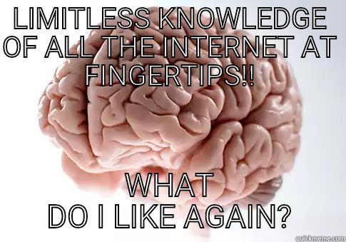 LIMITLESS KNOWLEDGE OF ALL THE INTERNET AT FINGERTIPS!! WHAT DO I LIKE AGAIN? Scumbag Brain