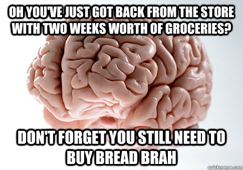 OH YOU'VE JUST GOT BACK FROM THE STORE WITH TWO WEEKS WORTH OF GROCERIES? DON'T FORGET YOU STILL NEED TO BUY BREAD BRAH  Scumbag Brain