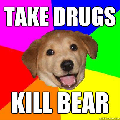Take drugs kill bear  