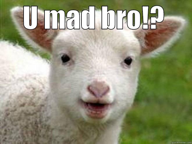 U MAD BRO!?  Misc