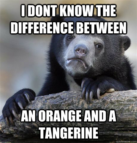 i dont know the difference between an orange and a tangerine  Confession Bear